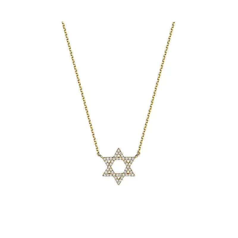10kt gold Small Diamond Star of David Necklace