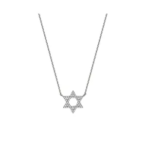 10kt gold Small Diamond Star of David Necklace