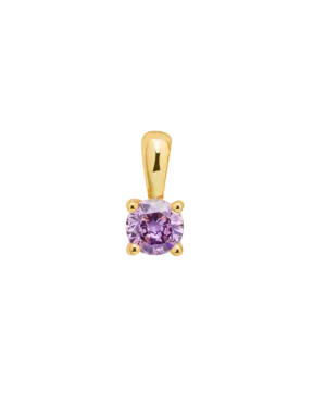Amethyst February Birth Charm