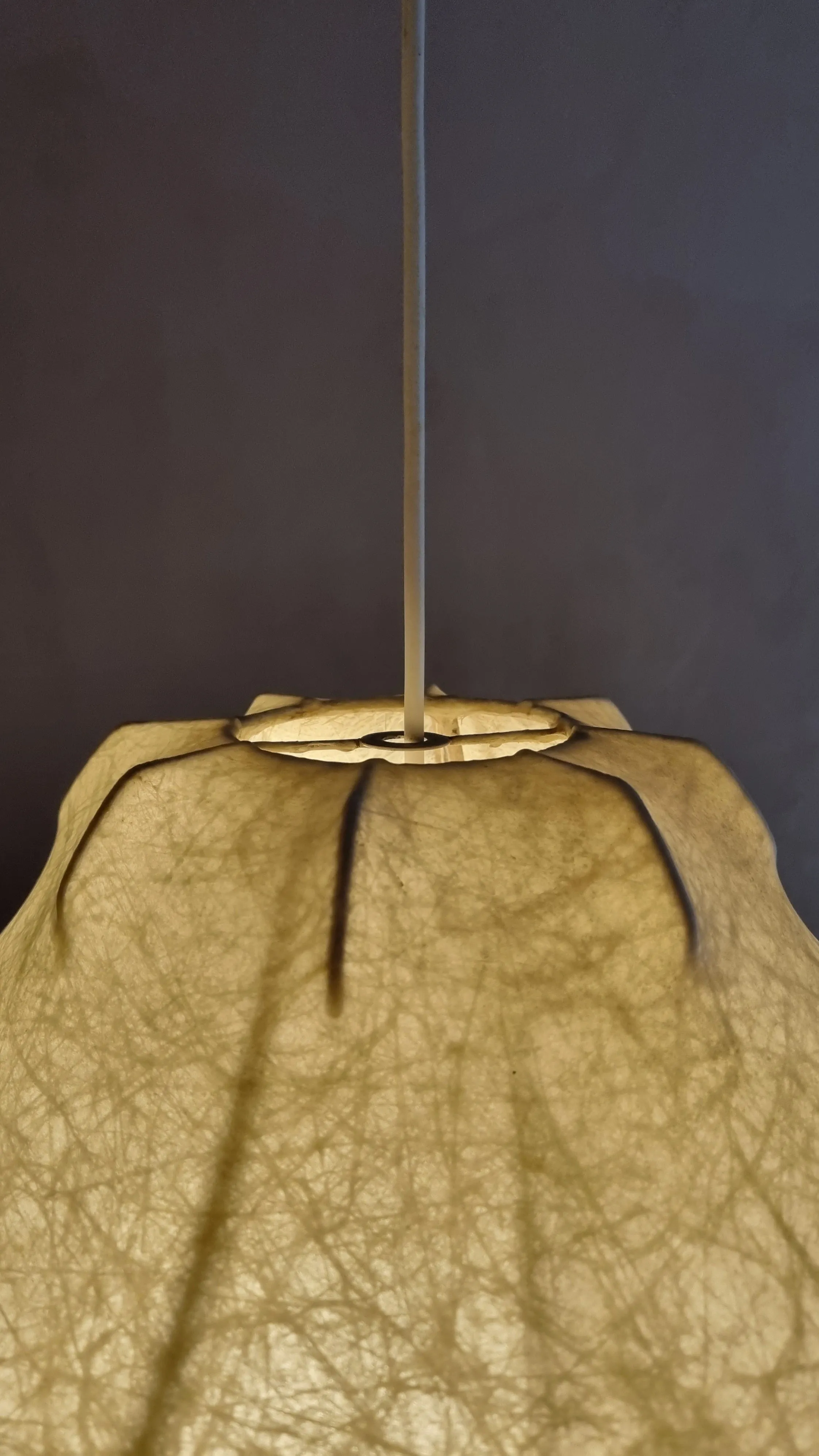 Viscontea Pendant Lamp