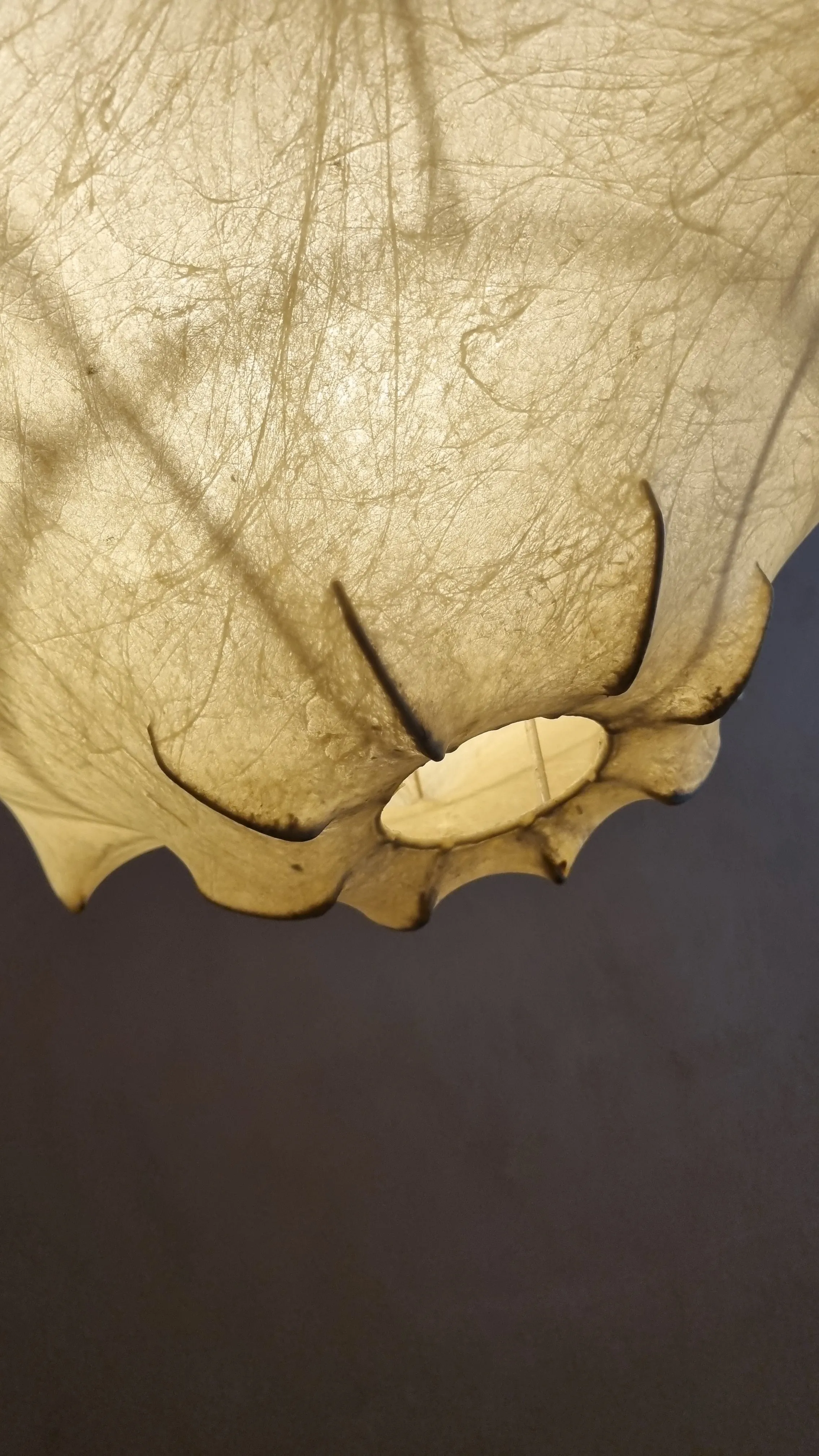 Viscontea Pendant Lamp